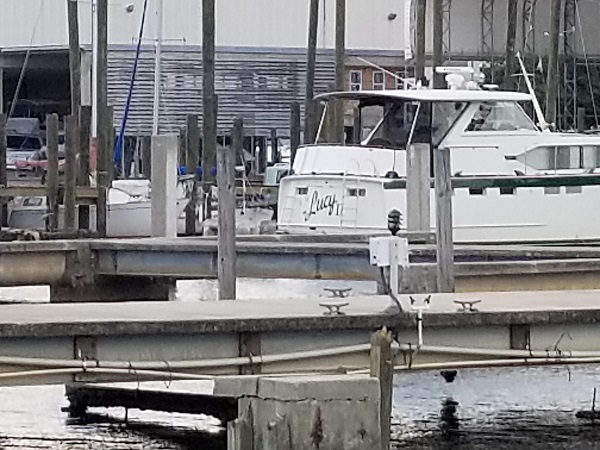 20180823_164904a.jpg