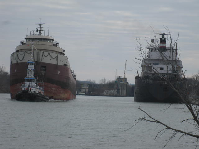 American Fortitude 001.JPG