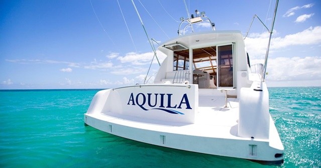 AQUILA Specimen (1) 2017 & 2022.jpg