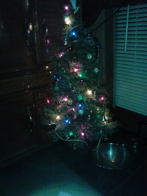 christmas 1 (480x640).jpg