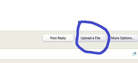Screenshota.png