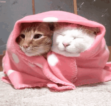 tenor_gif5501024835015097608.gif