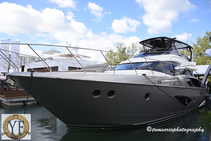 YF  - DSC_7777.JPG