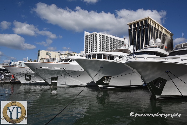 YF  - DSC_7943.JPG